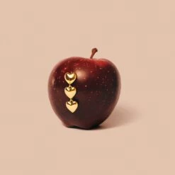 Boucles D'oreilles Pendantes DESIREE -Agatha Boutique 02380722 157 TU M3