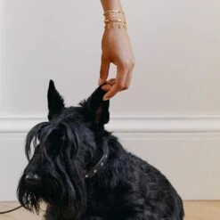 Bracelet Souple CANDY 8 Bracelet Souple CANDY -Agatha Boutique 02480341 256 TU M2