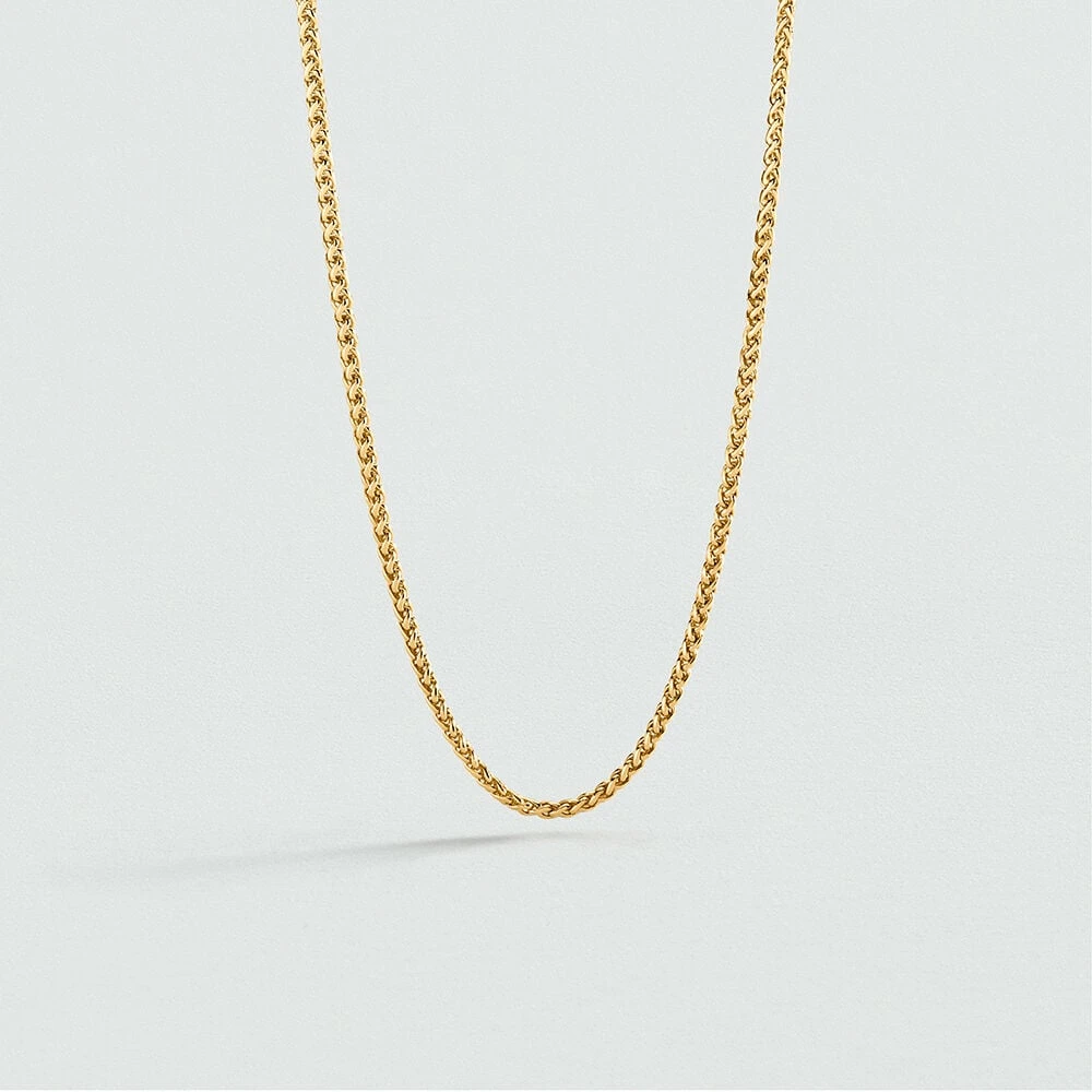 Chaine CHAÎNE PALMIER 1 Chaine CHAÎNE PALMIER