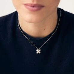 Collier Ras Du Cou FELICIA 8 Collier Ras Du Cou FELICIA -Agatha Boutique 02680422 113 TU M1