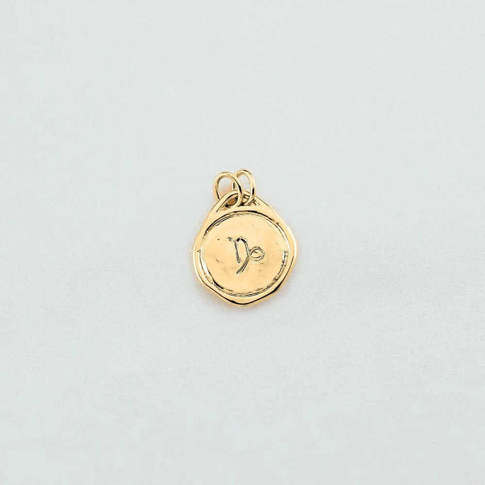 Pendentif CAPRICORNE ZODIAQUE 2 Pendentif CAPRICORNE ZODIAQUE – Image 2